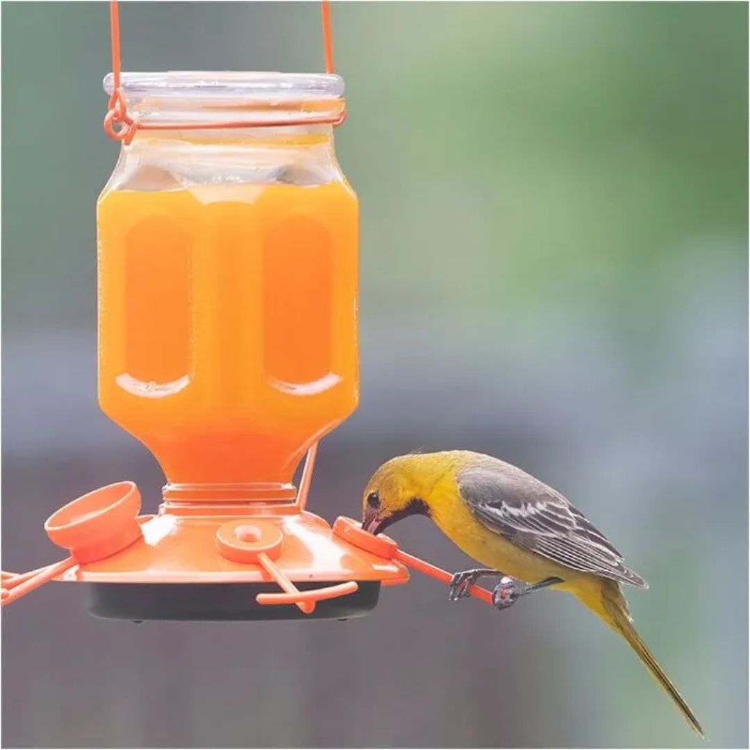 Ready-to-Use Orange Oriole Nectar – Perky Pet® – 16oz Can